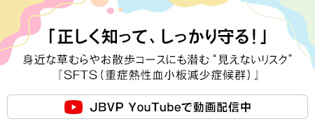 【獣医師が解説】 SFTSからあなたの愛犬、愛猫、そして家族を守るために