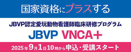 JBVP認定愛玩動物看護師臨床研修プログラム JBVP VNCA＋